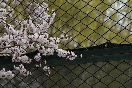 /Users/yaojunyi/Desktop/DSC_3382.jpgDSC_3382